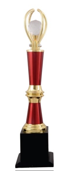 Metal Trophy
