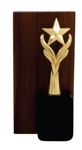 Metal Trophy