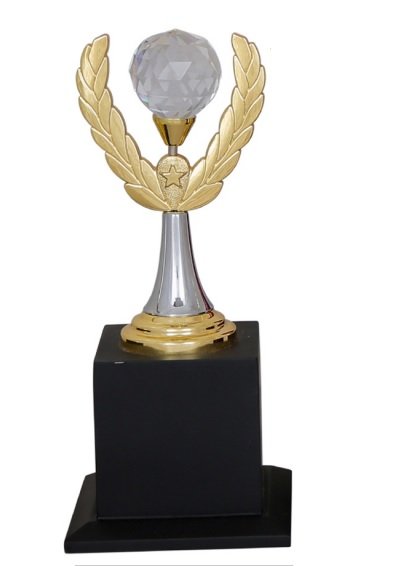 Metal Trophy