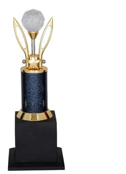 Metal Trophy