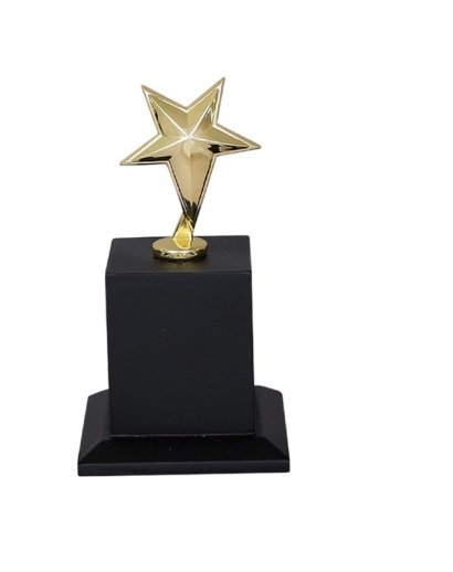 Metal Trophy
