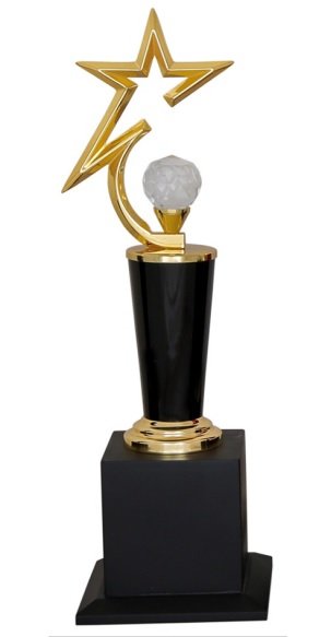 Metal Trophy