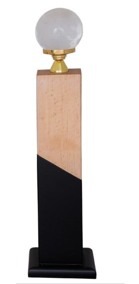 Metal Trophy