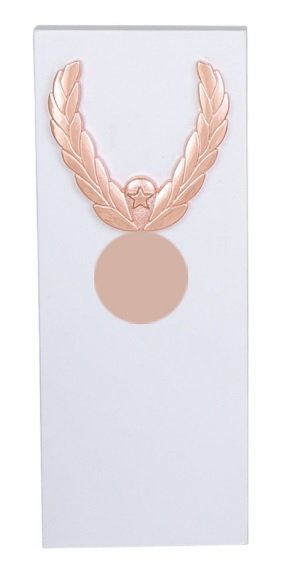 Metal Trophy